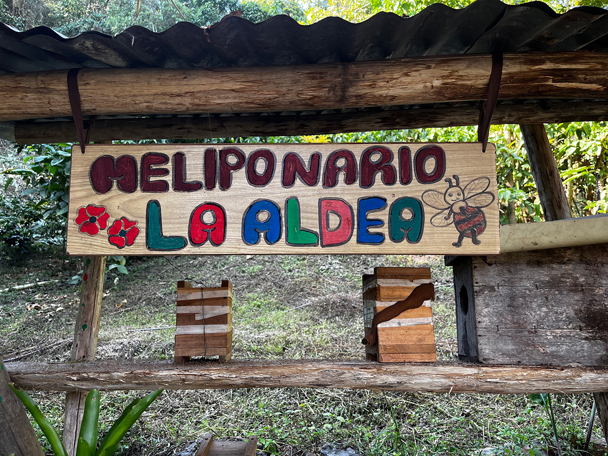 Beehives at coffee farm in Colombia