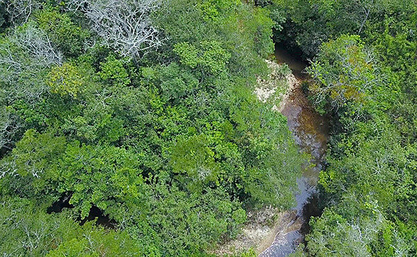 Aerial view of Cerrado Mineiro landscape