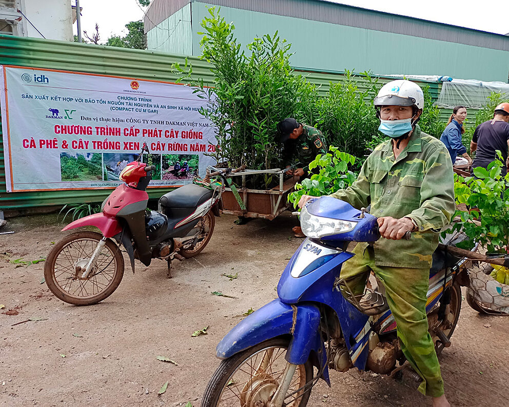 Shade tree saplings being distributed to farmers in Vietnam